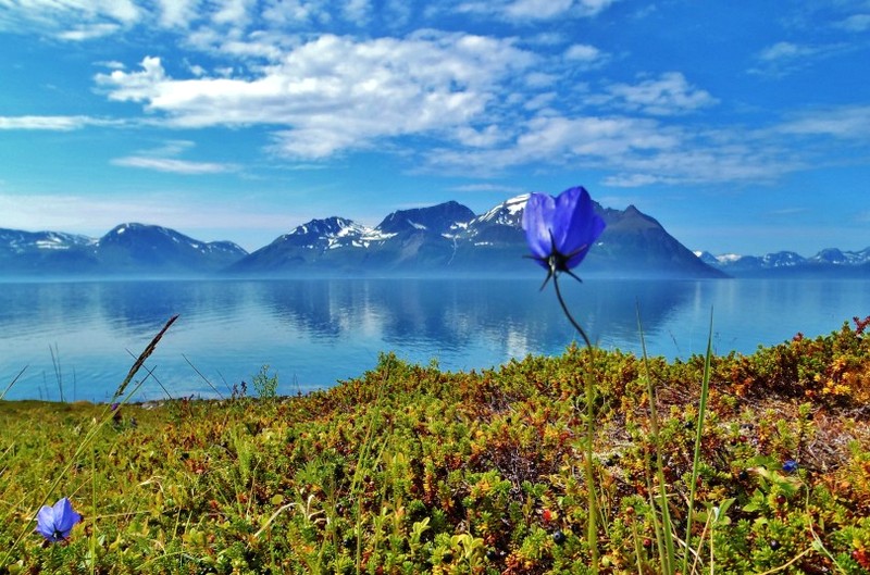 3am-Land-of-the-midnight-sun.-North-of-Tromso-Norway-