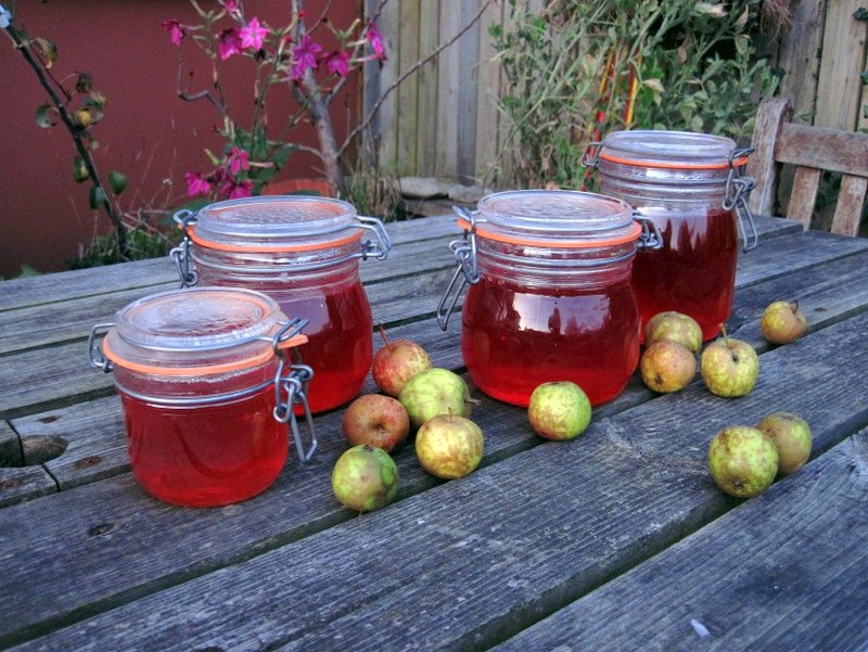 Crab-Apple-jelly-from-wild-apples-collected-at-Wellsfoot.