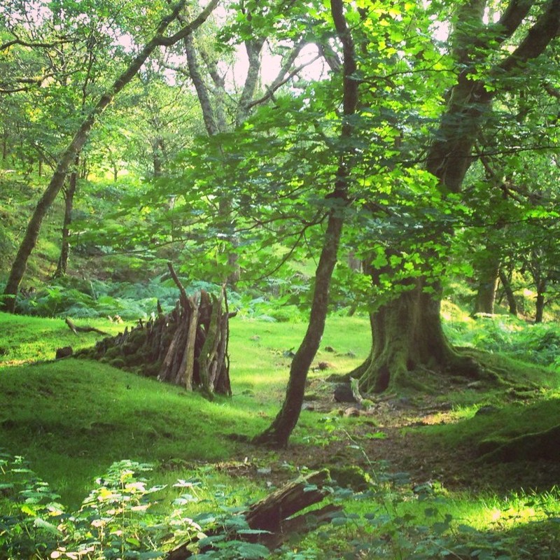 Grenofen-Woods-Dartmoor-Devon-England.-mywildsummer-
