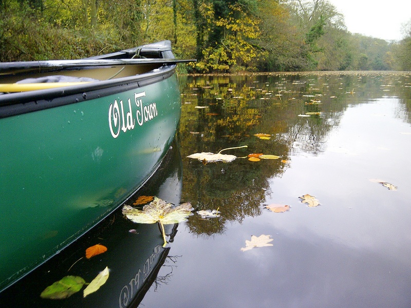 River-Wansbeck-nice-quiet-autumn-paddle