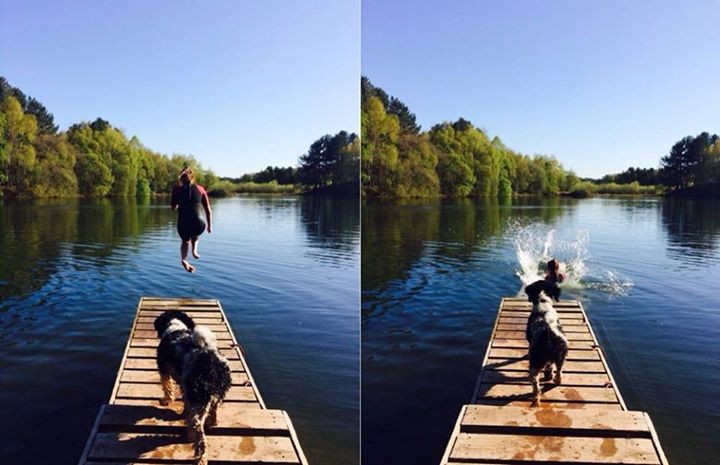 mywildsummer-Taking-the-plunge-at-Nunsmere-lake-in-Cheshire