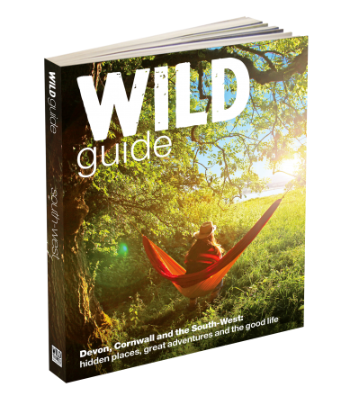 Wild Guide 3d transparent